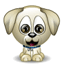 Puppy 3