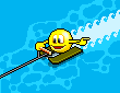 Water Skier