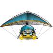 Glider 1