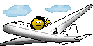 Pilot