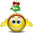 Mistletoe 1