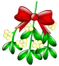 Mistletoe 2