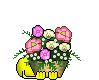 Flowers For Mom