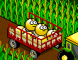 Hay Ride