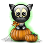 Black Kitty