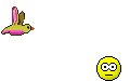 Bird Pooping