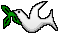 Dove 2