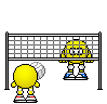 Volleyball