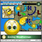 Weatherman 2