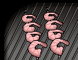 Shrimp On The Barbie