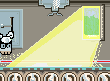 Wool Production