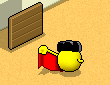 Matador