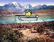 Patagonia