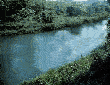 Raft