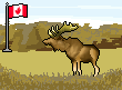 Moose